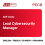 Lead Cybersecurity Manager